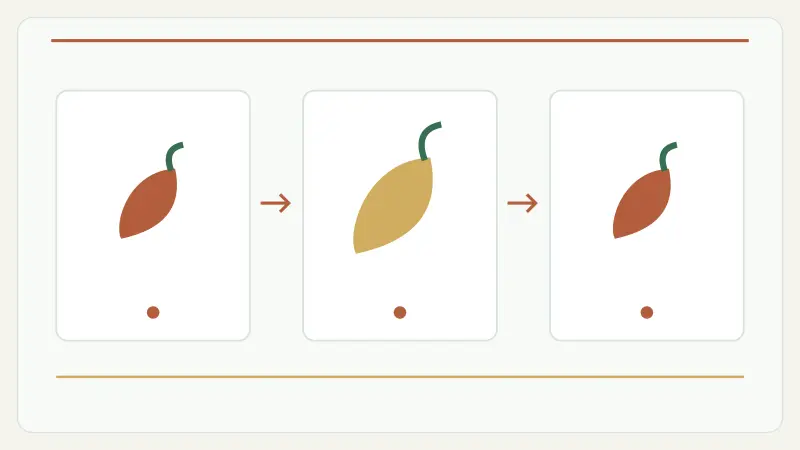 burning chilli x feature sequence
