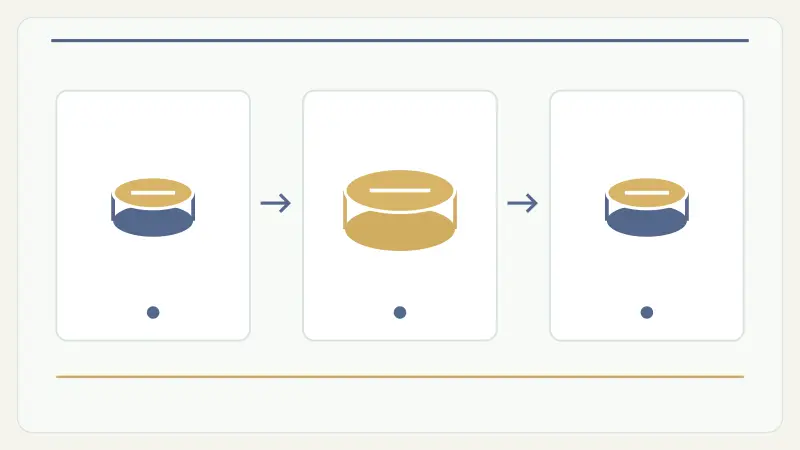 wild cash feature sequence